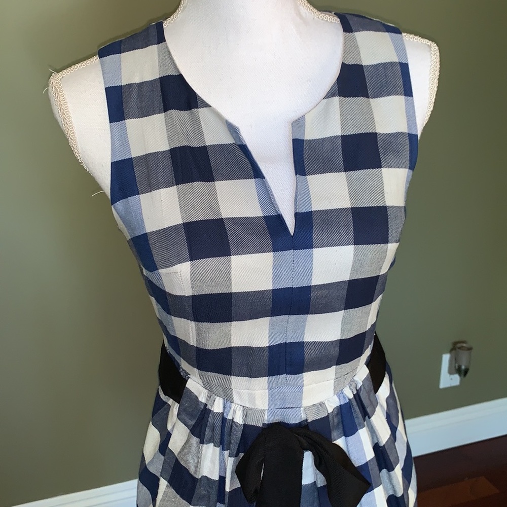Blue and White Checkered Sleeveless Dress - Picture 2 of 10